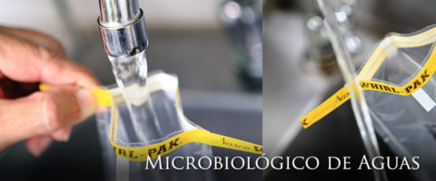 Microbiologico de aguas